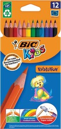 Bic Evolution Kuru Boya 12 Renk Karton Kutu (82902914) - Bic