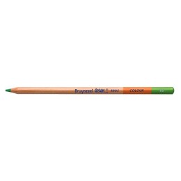 Bruynzeel Design Colour Pencils Kuru Boya Kalemi 60 Light Green - Bruynzeel - Sakura