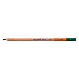 Bruynzeel Design Colour Pencils Kuru Boya Kalemi 61 Dark Green - Bruynzeel - Sakura