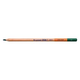 Bruynzeel Design Colour Pencils Kuru Boya Kalemi 61 Dark Green - 1