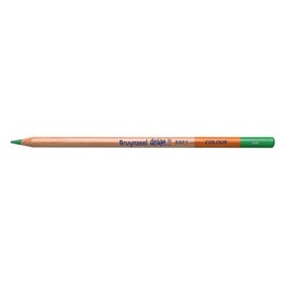Bruynzeel Design Colour Pencils Kuru Boya Kalemi 66 Green - Bruynzeel - Sakura