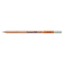 Bruynzeel Design Colour Pencils Kuru Boya Kalemi 88 Dull Cold Grey - Bruynzeel - Sakura