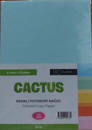 Cactus Fotokopi Kağıdı Renkli A4 80 Gr. 100'Lü 5 Renk - Cactus