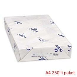 Canson 1557 Dessin Resim Çizim Kağıdı 200 gr. A4 250'li Paket - Canson