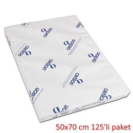 Canson 1557 Resim Çizim Kağıdı 200 gr. 50x70 cm. 125'li Paket - Canson
