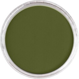 PanPastel Ultra Soft Artist Pastel Boya 220.1 Hansa Yellow Extra Dark - 2