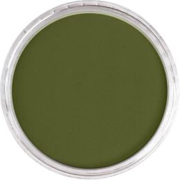 PanPastel Ultra Soft Artist Pastel Boya 220.1 Hansa Yellow Extra Dark - 2