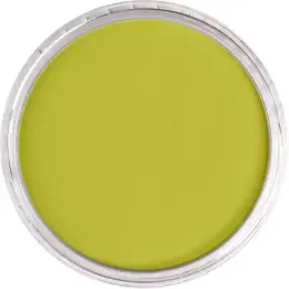 PanPastel Ultra Soft Artist Pastel Boya 220.3 Hansa Yellow Shade - 2