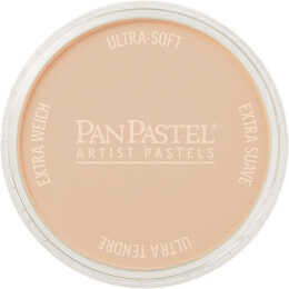 PanPastel Ultra Soft Artist Pastel Boya 280.8 Orange Tint - 1