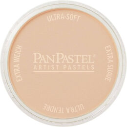 PanPastel Ultra Soft Artist Pastel Boya 280.8 Orange Tint - 1