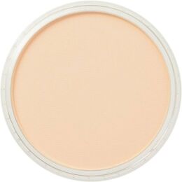 PanPastel Ultra Soft Artist Pastel Boya 280.8 Orange Tint - 2
