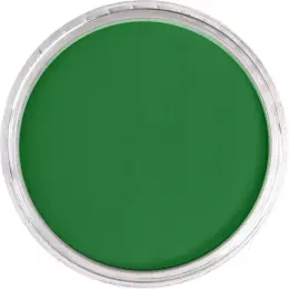 PanPastel Ultra Soft Artist Pastel Boya 640.3 Permanent Green Shade - 2
