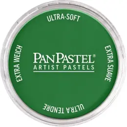 PanPastel Ultra Soft Artist Pastel Boya 640.3 Permanent Green Shade - 1