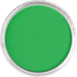 PanPastel Ultra Soft Artist Pastel Boya 640.5 Permanent Green - 2