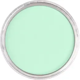 PanPastel Ultra Soft Artist Pastel Boya 640.8 Permanent Green Tint - 2