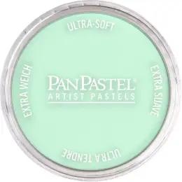 PanPastel Ultra Soft Artist Pastel Boya 640.8 Permanent Green Tint - 1