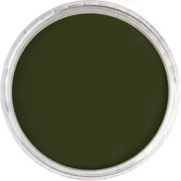 PanPastel Ultra Soft Artist Pastel Boya 660.3 Chromium Oxide Green Shade - 2