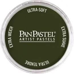PanPastel Ultra Soft Artist Pastel Boya 660.3 Chromium Oxide Green Shade - 1