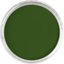 PanPastel Ultra Soft Artist Pastel Boya 660.5 Chromium Oxide Green - 2