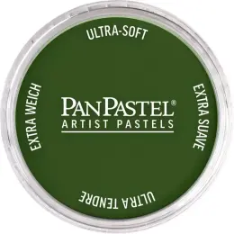 PanPastel Ultra Soft Artist Pastel Boya 660.5 Chromium Oxide Green - 1