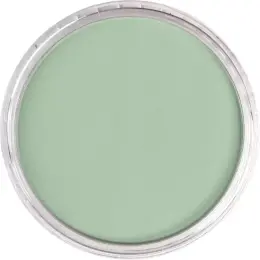 PanPastel Ultra Soft Artist Pastel Boya 660.8 Chromium Oxide Green Tint - 2