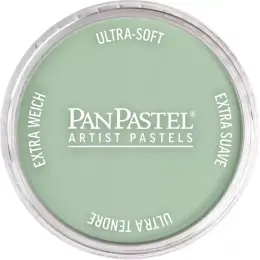 PanPastel Ultra Soft Artist Pastel Boya 660.8 Chromium Oxide Green Tint - 1
