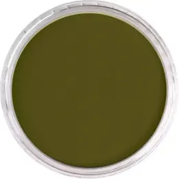 PanPastel Ultra Soft Artist Pastel Boya 680.1 Bright Yellow Green Extra Dark - 2