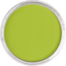 PanPastel Ultra Soft Artist Pastel Boya 680.5 Bright Yellow Green - 2
