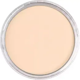 PanPastel Ultra Soft Artist Pastel Boya 740.8 Burnt Sienna Tint - 2