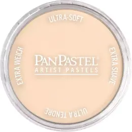 PanPastel Ultra Soft Artist Pastel Boya 740.8 Burnt Sienna Tint - 1
