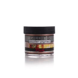 Rich Gilding Powder (Yaldız) Toz Pigment 60 cc. 11008 BAKIR - Rich