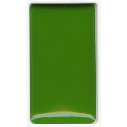 Zig Kuretake Gansai Tambi Tablet Sulu Boya 53 MID GREEN - 1